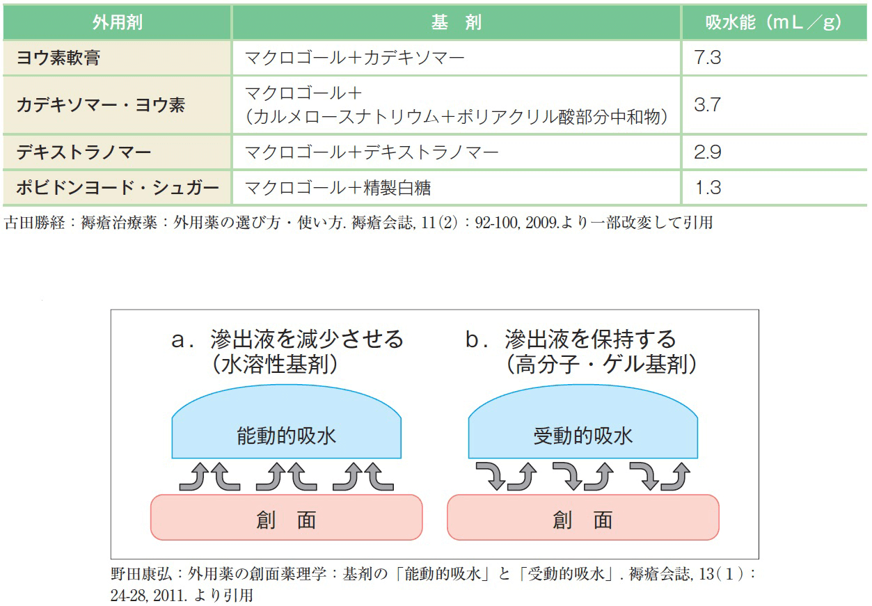 能動的吸水および受動的吸水する基剤のモデル